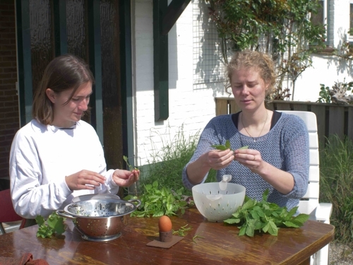 Two people working with gathered plants outdoors