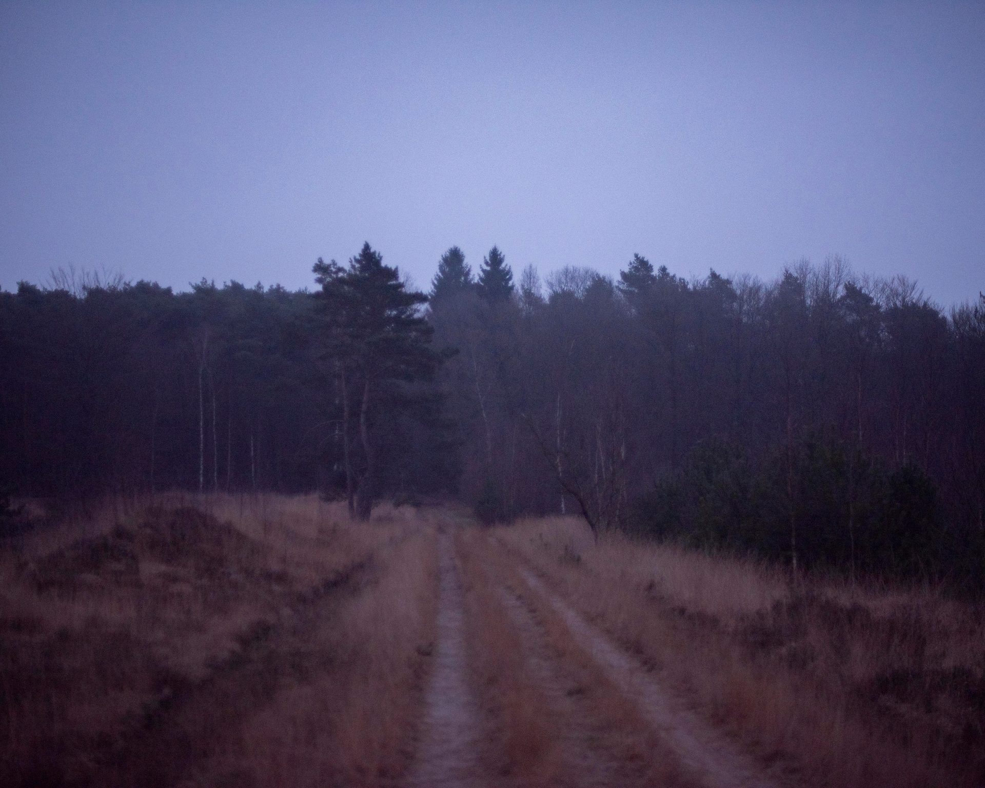 De Nieuwkomers — project documentation 41