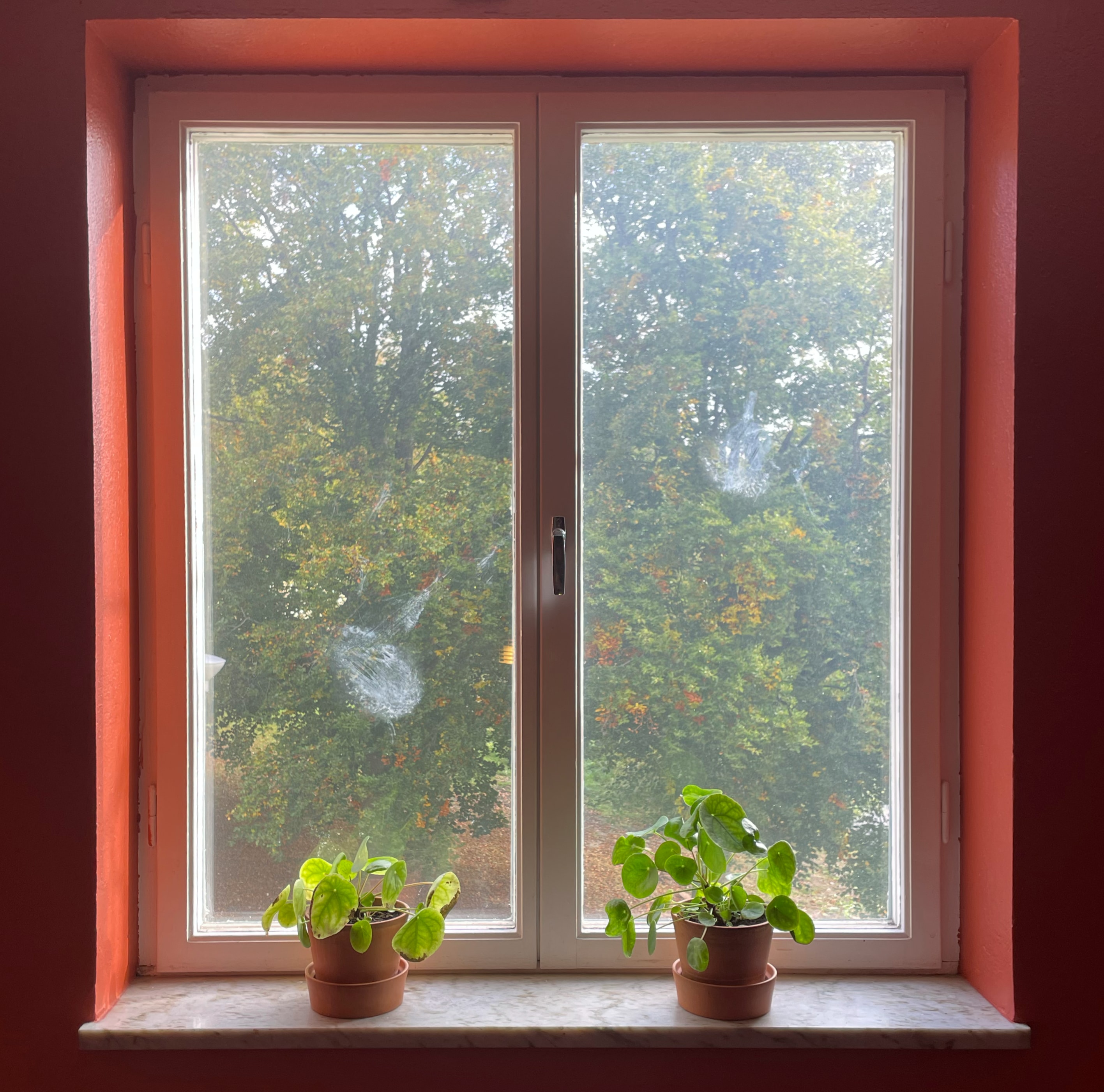 Living among us — birdswindow