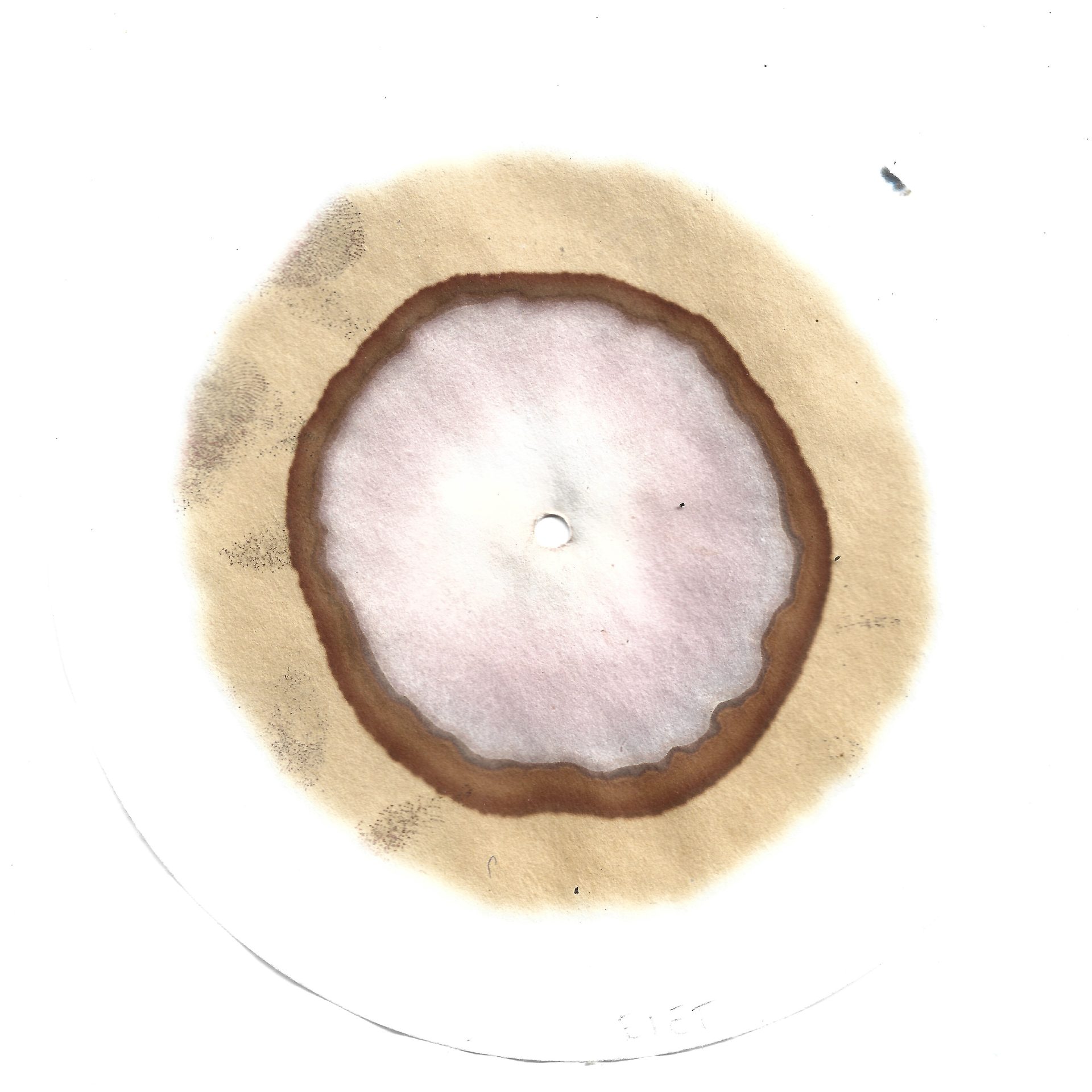 De Nieuwkomers — project documentation 23